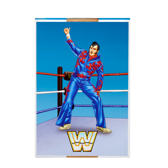 WWE Ultimate Coliseum Edition Exclusive Series 7 - Ultimate Warrior VS. Honky Tonk Man 2-Pack